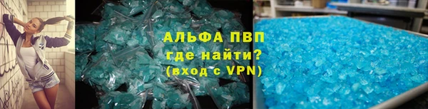 ПСИЛОЦИБИНОВЫЕ ГРИБЫ Гусев
