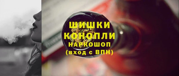 ПСИЛОЦИБИНОВЫЕ ГРИБЫ Гусев