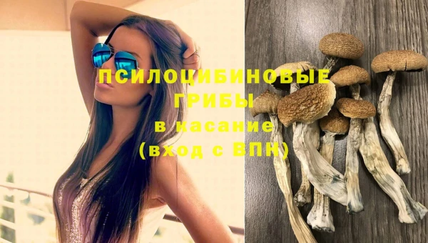 наркотики Гусь-Хрустальный