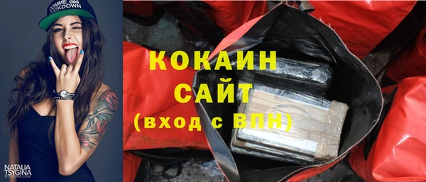 ПСИЛОЦИБИНОВЫЕ ГРИБЫ Гусев