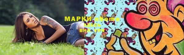 ПСИЛОЦИБИНОВЫЕ ГРИБЫ Гусев