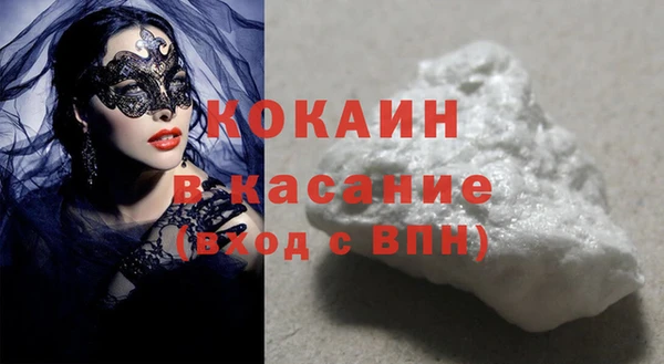 ПСИЛОЦИБИНОВЫЕ ГРИБЫ Гусев
