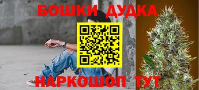 PSILOCYBIN Кандалакша