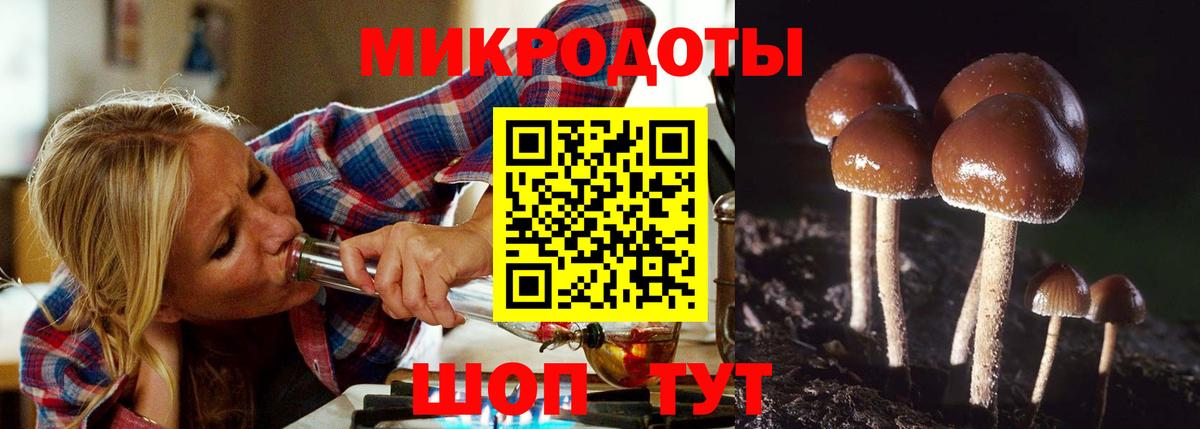 Галлюциногенные грибы GOLDEN TEACHER  Галлюциногенные грибы прущие грибы  Вход с VPN  Междуреченск 